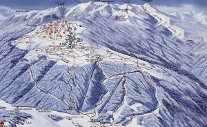 contatti